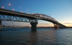 auckland_paint.jpg